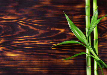 Similar image 10887890