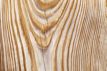 Similar image 10887908