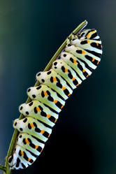 Similar image 10889143