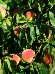 Similar image 10888997