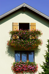 Similar image 10889002