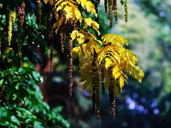 Similar image 10889007