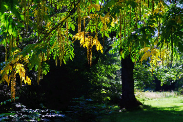 Similar image 10889008