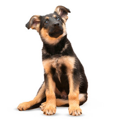 Similar image 10889475