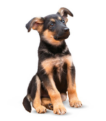 Similar image 10889476