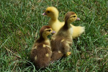 Similar image 10891939