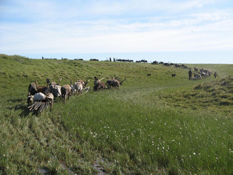 Similar image 10892019