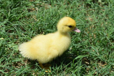 Similar image 10891914