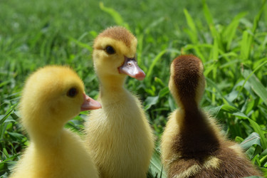 Similar image 10891917