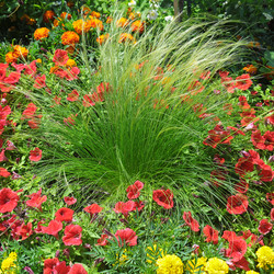 Similar image 10890752