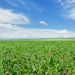 Similar image 10890731