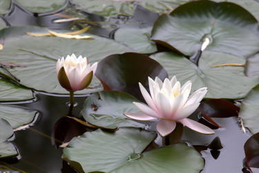 Similar image 10888993