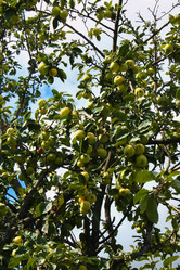 Similar image 10888711