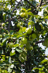 Similar image 10888712