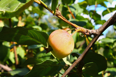 Similar image 10888713