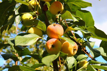 Similar image 10888714