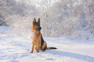 Similar image 10889089