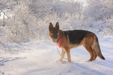 Similar image 10889092