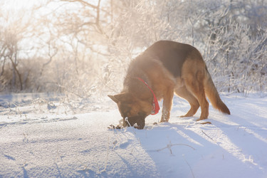 Similar image 10889093