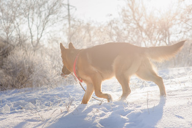 Similar image 10889094