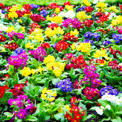 Similar image 10889164