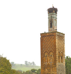 Similar image 10895191