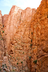 Similar image 10895987