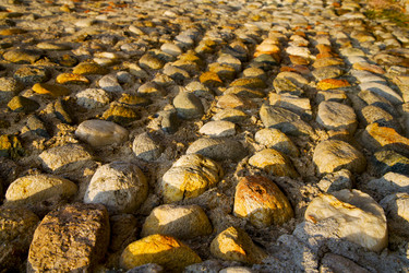 Similar image 10894273