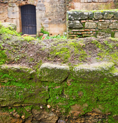 Similar image 10894239