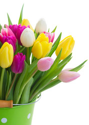 Similar image 10891540