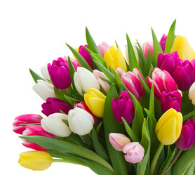 Similar image 10891541