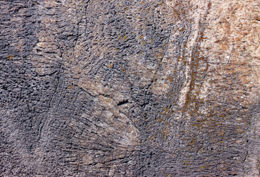 Similar image 10890359