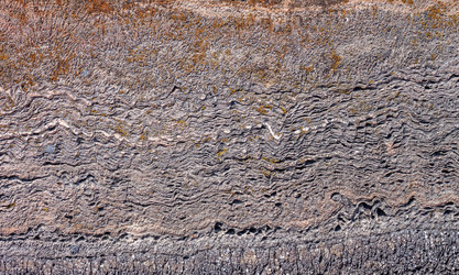 Similar image 10890360