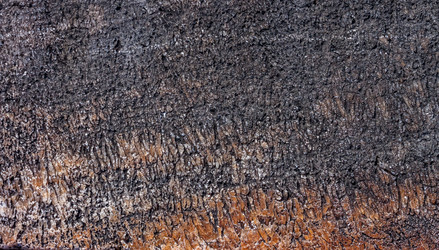 Similar image 10890363