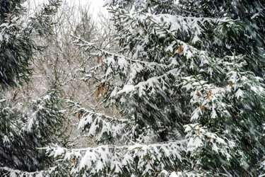 Similar image 10890782