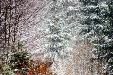 Similar image 10890783