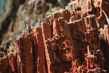 Similar image 10890015