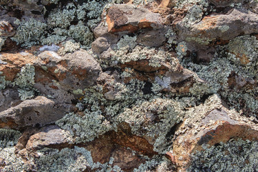 Similar image 10890017