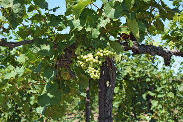 Similar image 10891966