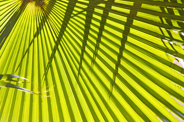 Similar image 10894196