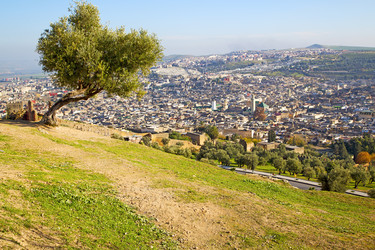 Similar image 10893929