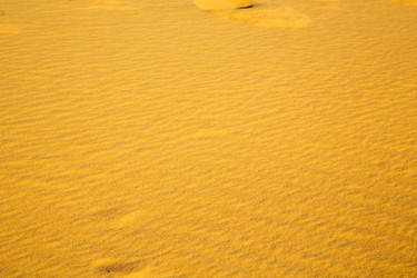 Similar image 10893931