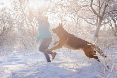 Similar image 10890117