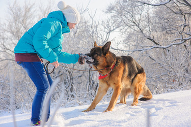 Similar image 10890120