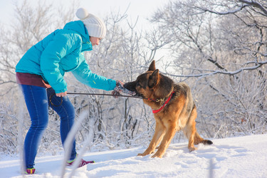 Similar image 10890121