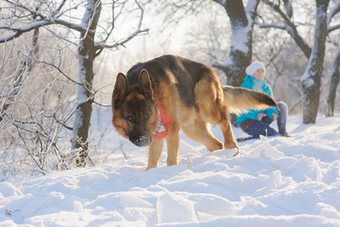 Similar image 10890125