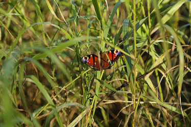 Similar image 10895341