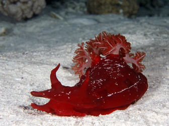 Similar image 10890019