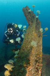 Similar image 10890033