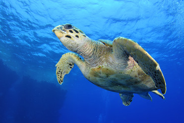 Similar image 10890034